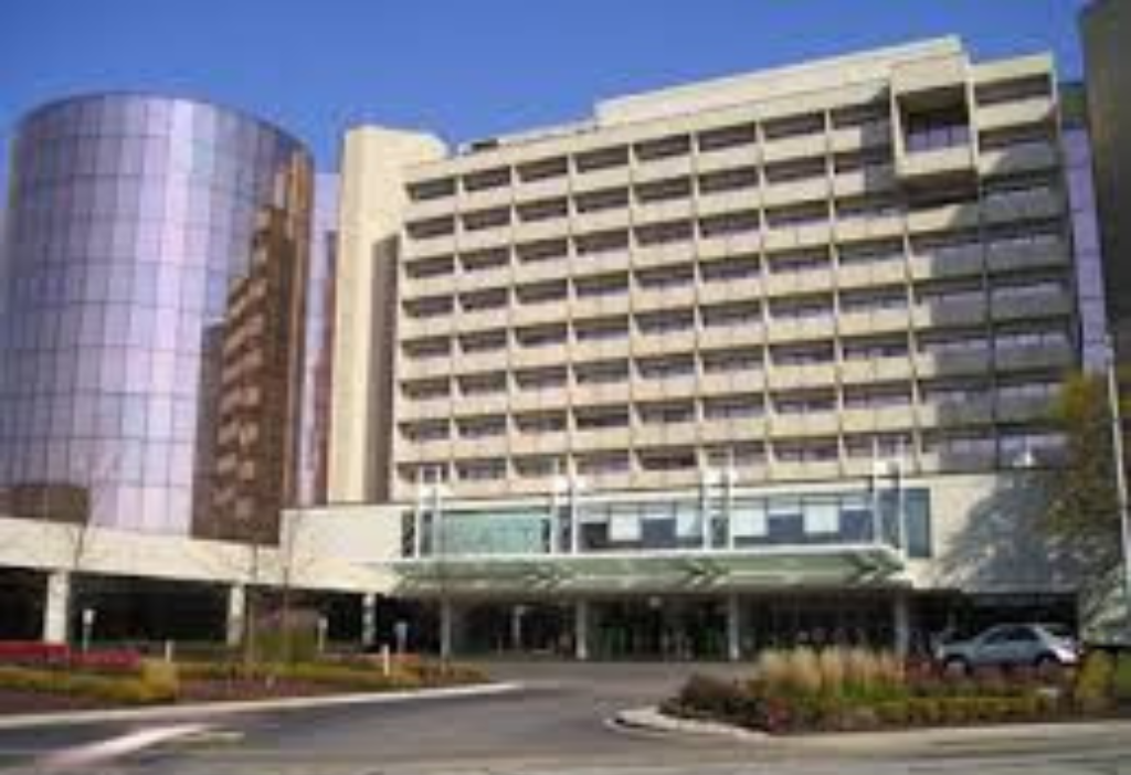 translation service in rosemont